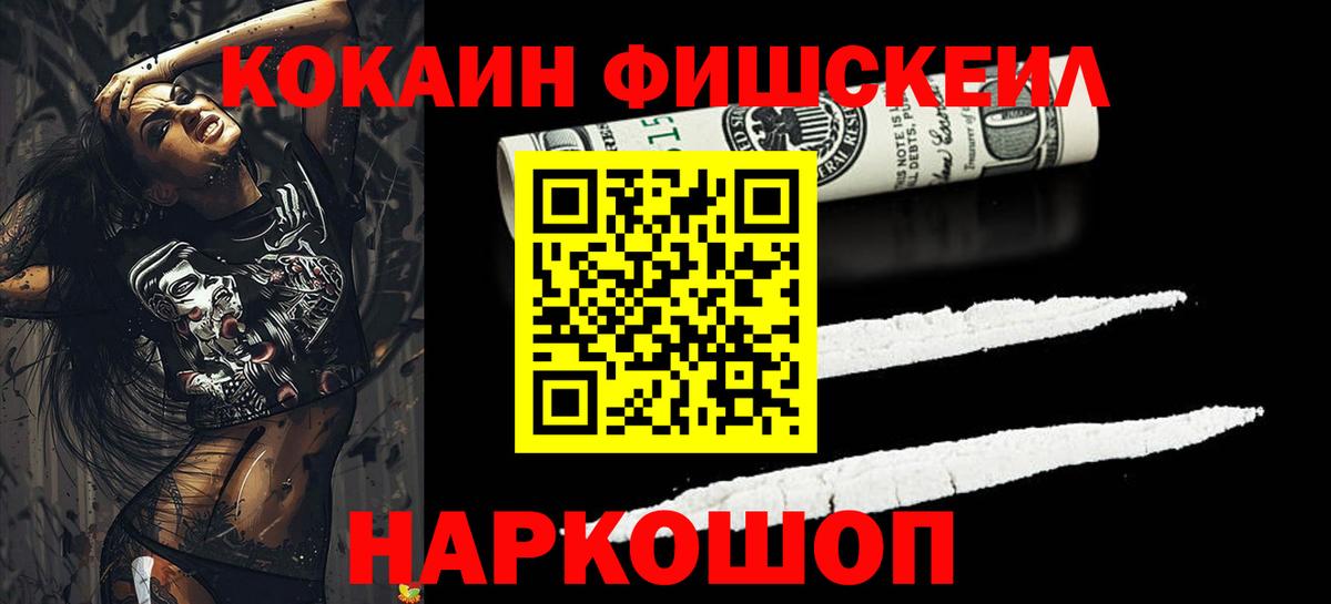 Cocaine Fish Scale  Вход с VPN  Курчатов 