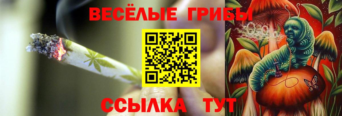 Курчатов  Галлюциногенные грибы Magic Shrooms  купить наркотик  Псилоцибиновые грибы Psilocybe  Вход с VPN 